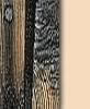 sculptura in lemn, mobilier sculptat, restaurare mobilier